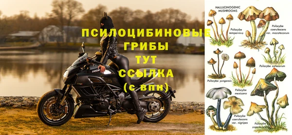 стаф Балахна