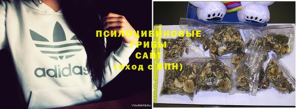 стаф Балахна